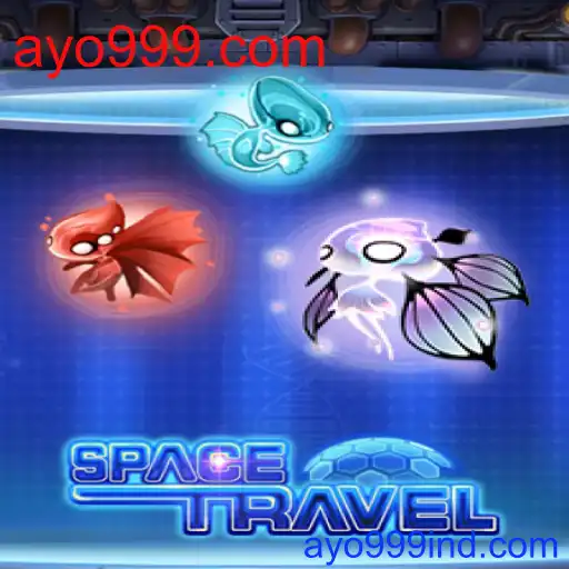 SpaceTravel